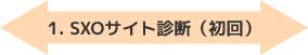 1.SXOサイト診断（初回）