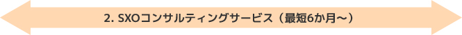 2.SXOコンサルティングサービス（最短6か月～）